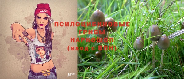 хмурый Алексеевка