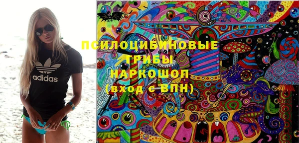 хмурый Алексеевка