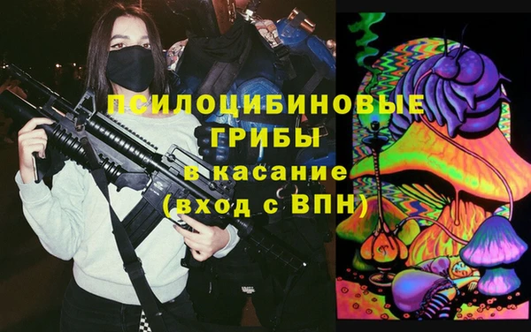 хмурый Алексеевка
